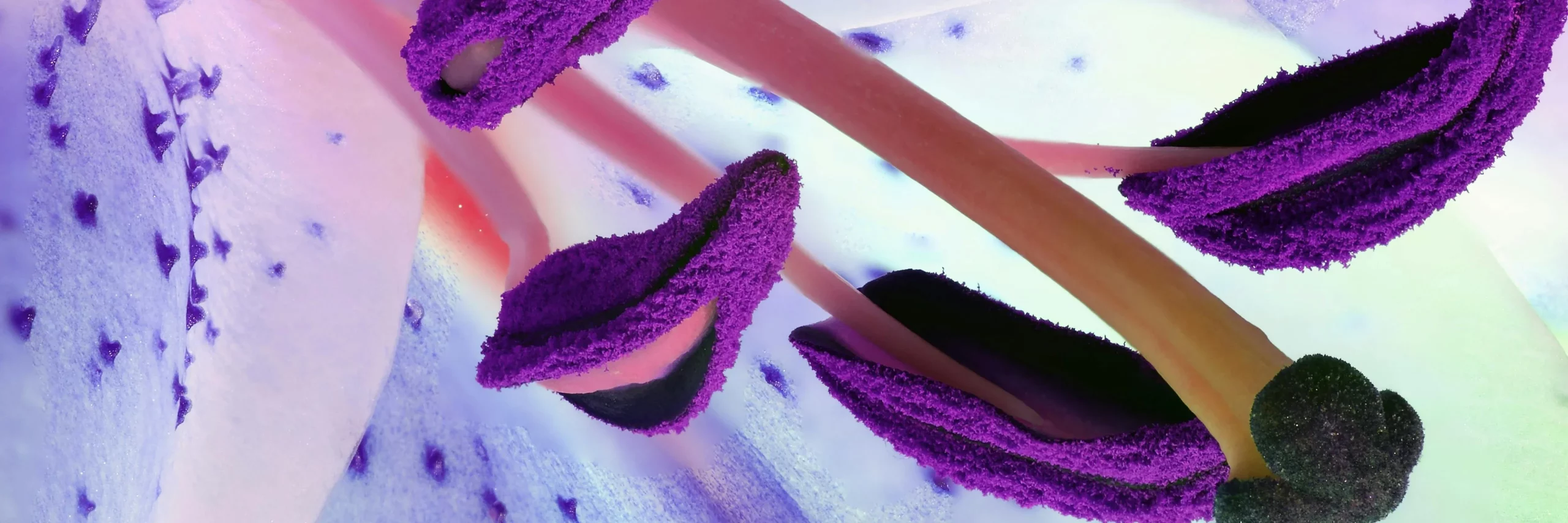 Frame_1321318036_384bc3d0-7c60-4d2e-a3ee-96ba438485dc